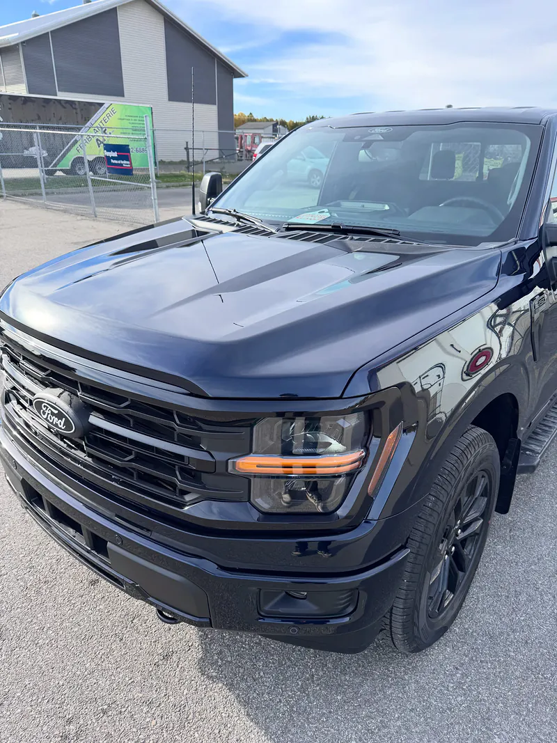 Ford F-150 2026 noir avec ensemble pare-pierre Or