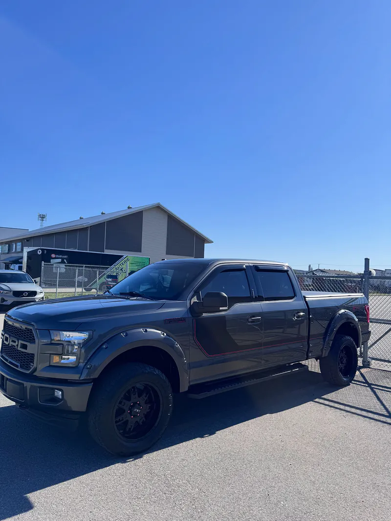 Ford F-150 avec ensemble pare-pierre Platine
